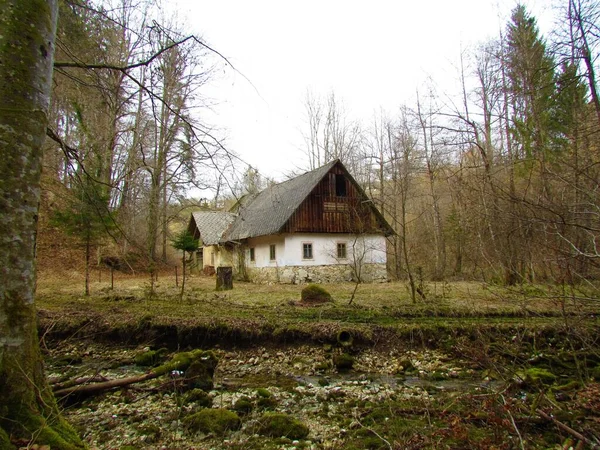 Antigua Casa Tradicional Abandonada Prado Gorenjska Eslovenia Con Arroyo Frente — Foto de Stock