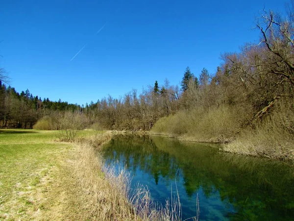 Scenic river Rak in Rakov Skocjan Notranjska, Slovenia with a meadow on one side and a forest on the other and a reflection of the trees in the river