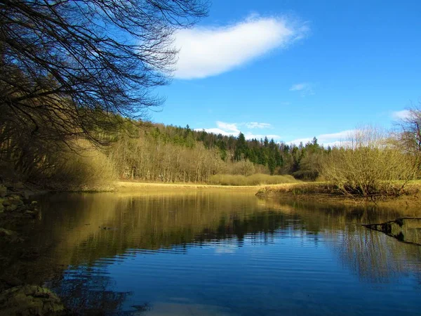 Scenic river Rak in Rakov Skocjan Notranjska, Slovenia with a meadow on one side and a forest on the other and a reflection of the trees in the river