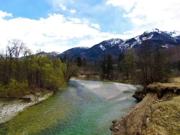 Escénico Río Sava Bohinjka Gorenjska Eslovenia Primavera Con Árboles Flor — Foto de Stock