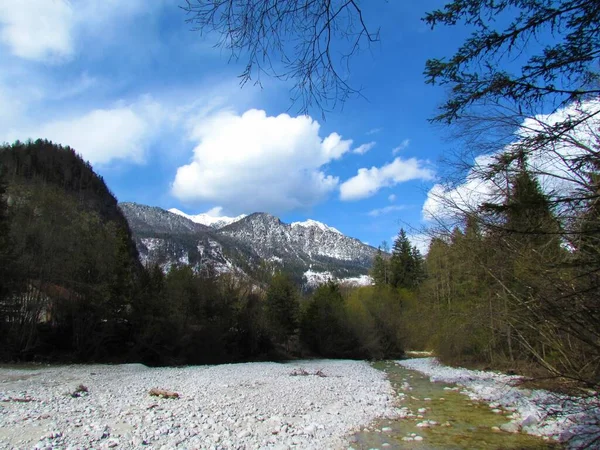 Montañas Cubiertas Nieve Bosque Karavanke Gorenjska Eslovenia Arroyo Triglavska Bistrica —  Fotos de Stock