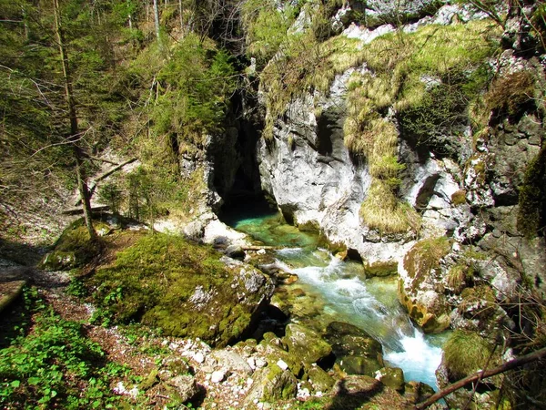 Kamnska Bistrica Folyó Predaselj Kamnik Savinja Alpokban Szlovéniában Tavasszal — Stock Fotó