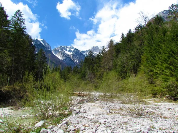 Vista Picos Montanha Cobertos Neve Kamnik Savinja Alpes Eslovênia Aluvião — Fotografia de Stock