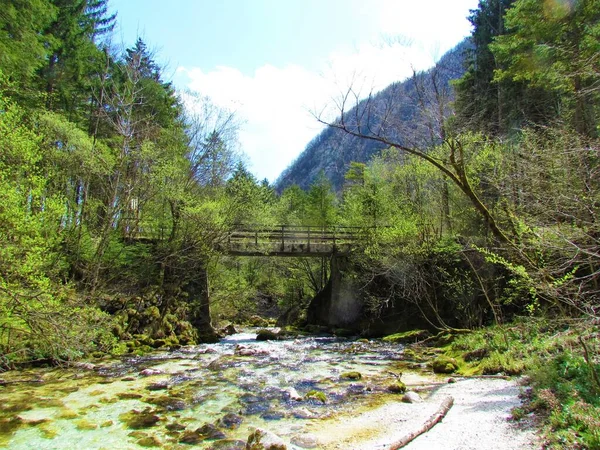 Ponte Sobre Rio Kamnsika Bistrica Kamnik Savinja Alpes Eslovénia Primavera — Fotografia de Stock