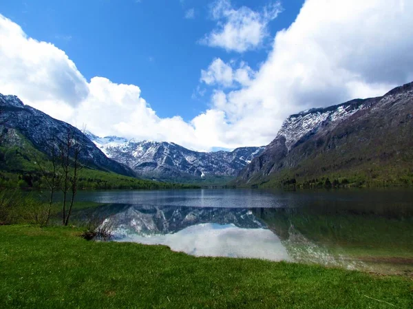 Hermosa Vista Del Lago Bohinj Primavera Gorenjska Eslovenia Con Árboles —  Fotos de Stock