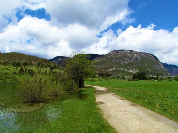 Trilha Caminhada Lado Lago Bohinj Gorenjska Eslovênia Primavera Com Colinas — Fotografia de Stock