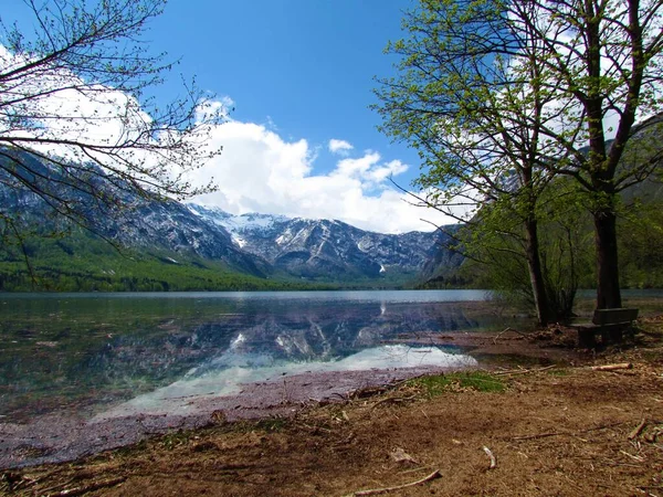 Vista Panorámica Del Lago Bohinj Los Alpes Julianos Parque Nacional — Foto de Stock