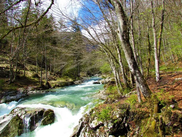 Mostnica Nehri Julian Alpleri Ndeki Mostnica Geçidinde Triglav Ulusal Parkında — Stok fotoğraf
