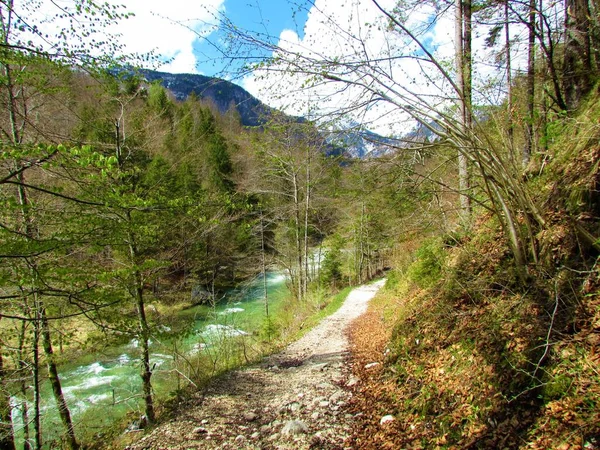 Pěší Stezka Řeky Moastnica Mostnické Rokli Bohinje Gorenjské Slovinsko Jaře — Stock fotografie