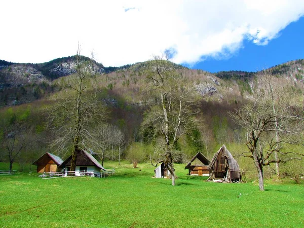 Små Fjällstugor Ljust Grön Äng Våren Och Skogbeklädda Berg Reser — Stockfoto