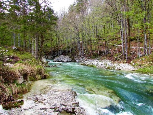 Natursköna Mostnica Floden Vid Mostnica Ravinen Julian Alperna Och Triglav — Stockfoto