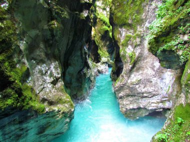 Tolminka nehri Slovenya 'nın Littoral bölgesinde Tolmin boğazında