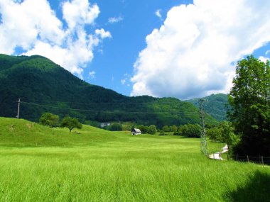 Slovenya 'da Tolmin yakınlarındaki güzel çim ve orman tarlaları ile kaplı tepeler