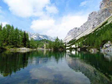 Triglav Ulusal Parkı 'ndaki Triglav Gölleri Vadisi' nde güzel bir çift göl ve Slovenya 'nın Gorenjska şehrinde Julian Alpleri. Karaçam ağaçları ve arta kalan karla göldeki dağların yansıması.