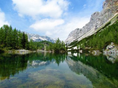 Triglav Ulusal Parkı 'ndaki Triglav Gölleri Vadisi' nde güzel bir çift göl ve Slovenya 'nın Gorenjska şehrinde Julian Alpleri. Karaçam ağaçları ve arta kalan karla göldeki dağların yansıması.