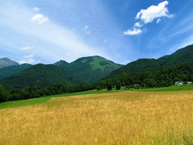 Slovenya 'nın Upper Carniola kentindeki Kamnik-Savinja Alplerindeki Srednji Dağı manzarası