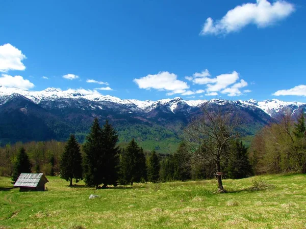 Belle Vue Sur Pic Enneigé Des Alpes Juliennes Gorenjska Slovénie — Photo