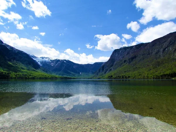 Krásný Výhled Jezero Bohinj Lesem Břehu Zeleném Listí Horách Juliánských — Stock fotografie