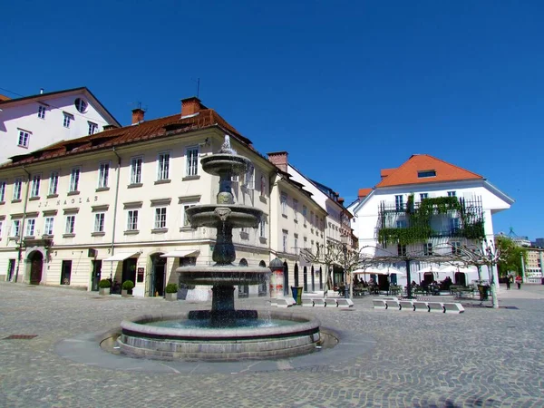 Slovenya Nın Ljubljana Kentindeki Novi Trg Eski Tarihi Çeşme — Stok fotoğraf