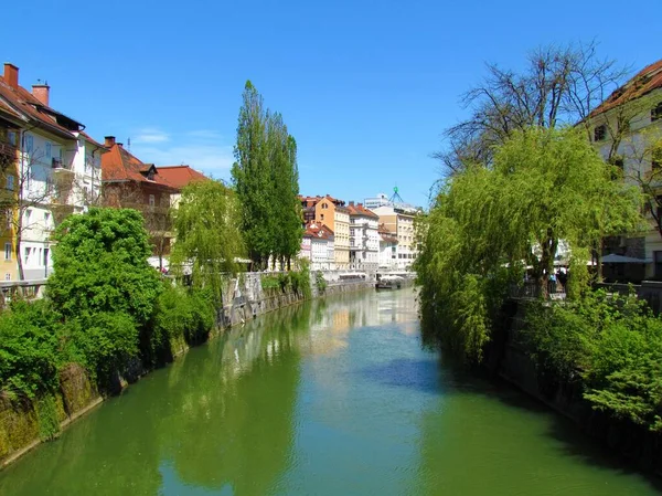 Rivière Ljubljanica Qui Coule Travers Ville Ljubljana Slovénie Église Franciscaine — Photo