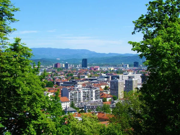 Vista Panoramica Lubiana Capitale Della Slovenia Alberi Fronte — Foto Stock