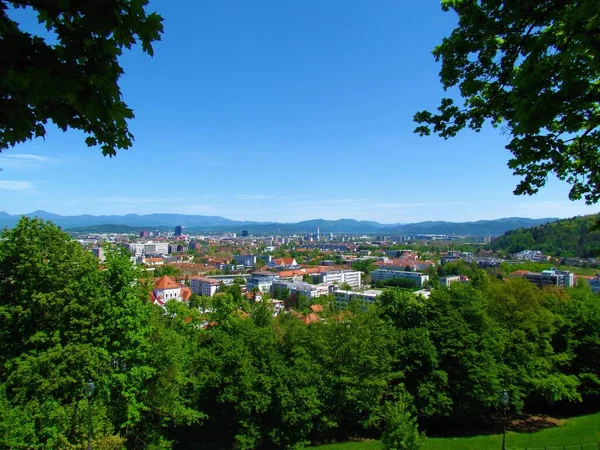 Vue Panoramique Capitale Slovène Ljubljana Arbres Face — Photo
