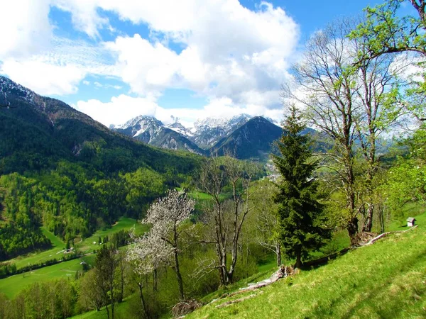 Вид Снігову Гору Юліанських Альпах Національний Парк Триглав Ґеренській Словенія — стокове фото