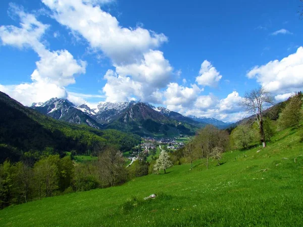 줄리안 알프스 슬로베니아 눈덮인 산봉우리와 꽃나무가 피우는 초원에 — 스톡 사진