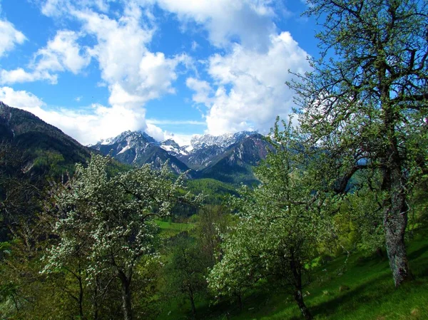 Вид Заснеженные Вершины Юлийских Альпах Триглавский Национальный Парк Горенской Словения — стоковое фото