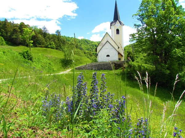 Veduta Della Chiesa Cattolica Sulle Colline Polhov Gradec Slovenia Circondata — Foto Stock
