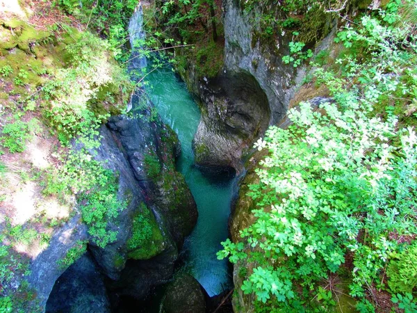 Deep Gorge Korita Mostnice Bohinj Slovenia — Stock Photo, Image