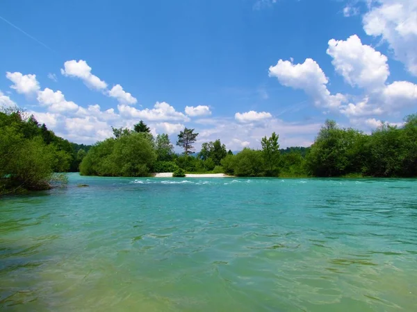 Sava Älv Gorenjska Slovenien Sommaren Med Träd Buskar Stranden — Stockfoto