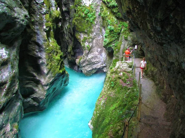 Slovenya 'nın Littoral bölgesindeki Tolmin vadisinde Tolminka nehrinin yanındaki patika