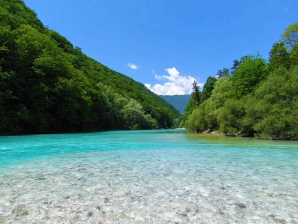 Soca River Surrounded Forest Covered Slopes Summer Littoral Region Slovenia — Stockfoto