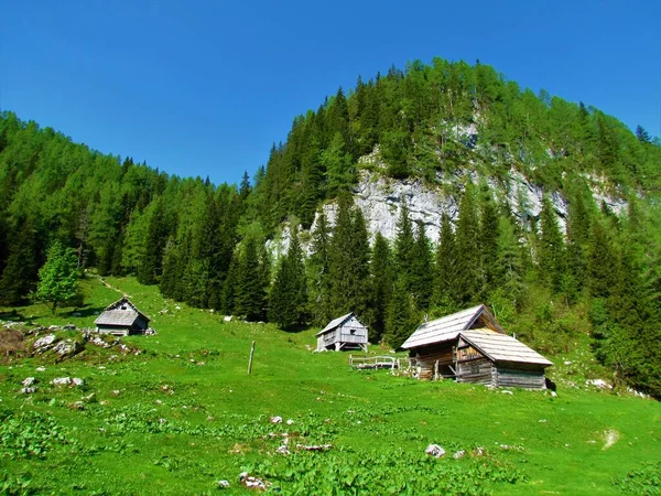 Cabane Traditionnelle Bois Planina Jezero Dans Les Alpes Juliennes Parc — Photo