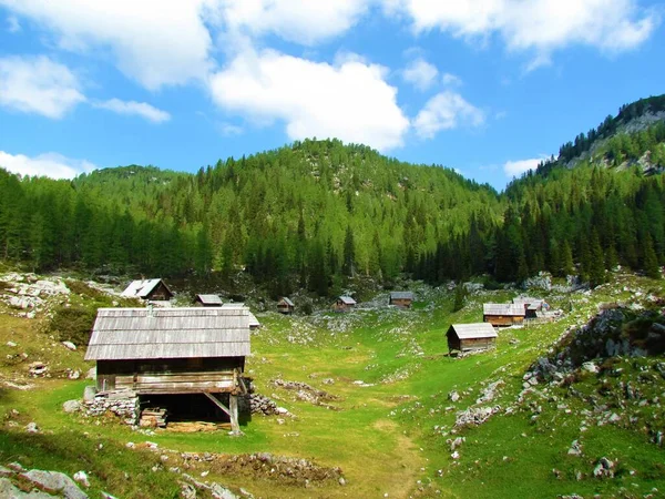 Alpeggio Dedno Polje Nel Parco Nazionale Del Triglav Alpi Giulie — Foto Stock