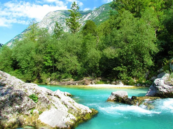 Slovenya 'nın Trenta vadisinde Zümrüt renkli Soca nehri ve dağları yükseliyor