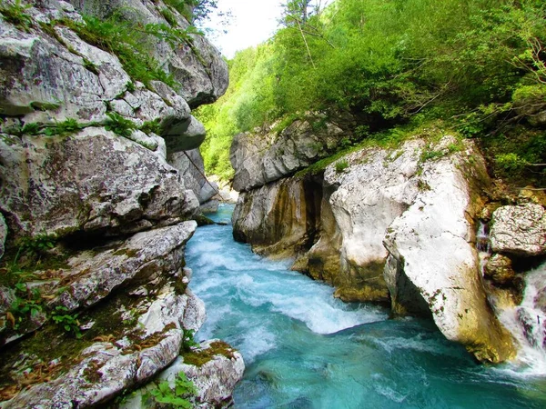 Řeka Soca Protékající Velkou Soutěskou Soca Turistickou Atrakcí Údolí Trenta — Stock fotografie
