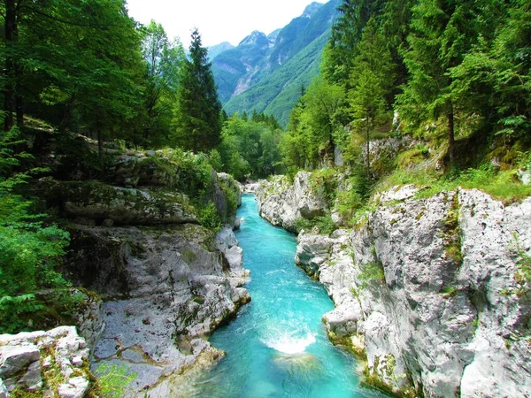 Soca Nehri Slovenya 'nın Trenta Vadisi' ndeki Büyük Soca vadisinde turistik ilgi çekiyor.