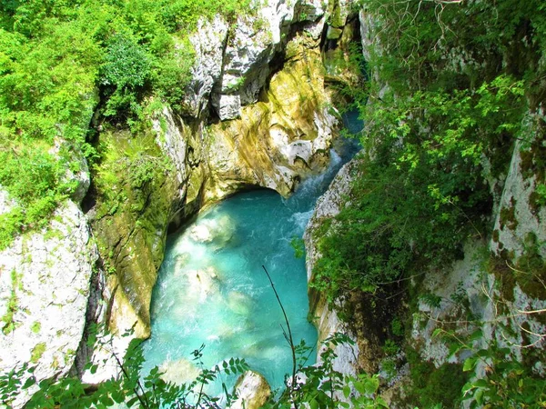 Emerald Soca River Great Soca Gorge Trenta Valley Slovenia Summer — Stock fotografie