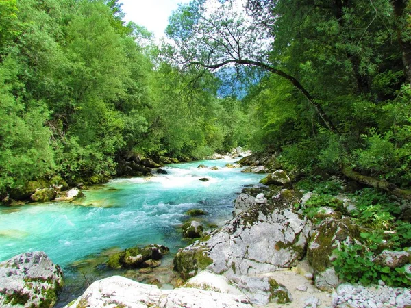Smaragdová Řeka Soca Létě Údolí Trenta Slovinsko — Stock fotografie