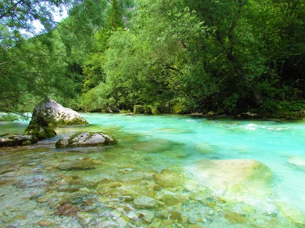 Emerald Färgade Soca Floden Sommaren Trenta Valley Slovenien — Stockfoto