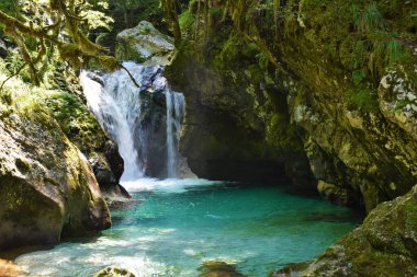 Julian Alpleri 'ndeki Lepana' daki Sunik su korusunda şelale ve Triglav ulusal parkı, Slovenya havuz körüğüne akıyor