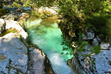 Slovenya 'nın Lepena kentindeki Sunik su korusunda zümrüt renkli bir havuza akan su