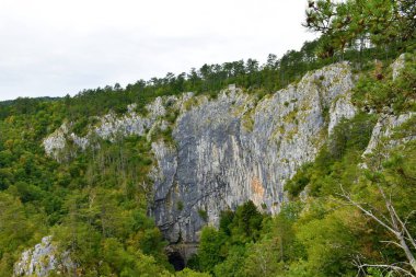 Matavun, Primorska, Slovenya 'daki Skocjan mağaralarında dikey kaya duvarı