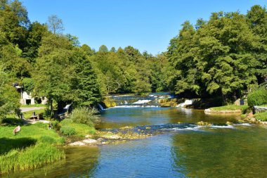 Slovenya 'nın Dolenjska kentindeki Krka nehrinin manzarası