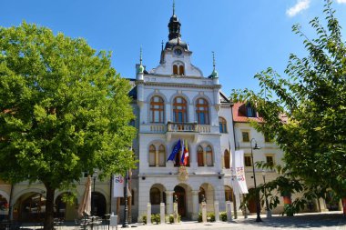 Slovenya 'nın Dolenjska kentinde Novo Mesto' daki belediye binasında ağaçlar var