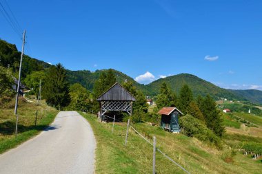 Stajerska, Slovenya ve orman kaplı tepelerde bir samanlığın yanından geçen yol