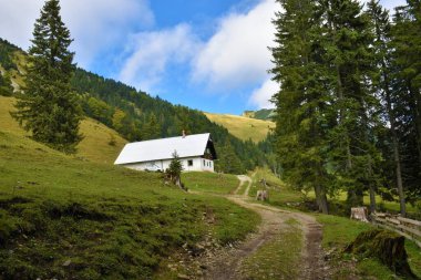 Slovenya 'nın Karavanke dağlarındaki bir çayırda dağ kulübesi