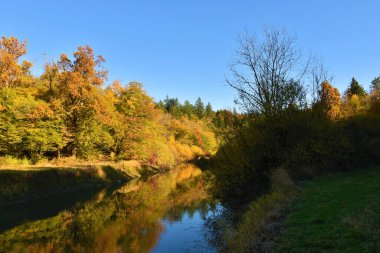 Sonbaharda renkli Rak nehri ve Rakov Skocjan, Notranjska, Slovenya sularındaki ağaçların yansıması